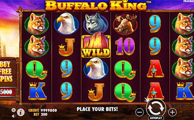 The Buffalo Kings Slot Game at the Playzee New Zealand Online Casino